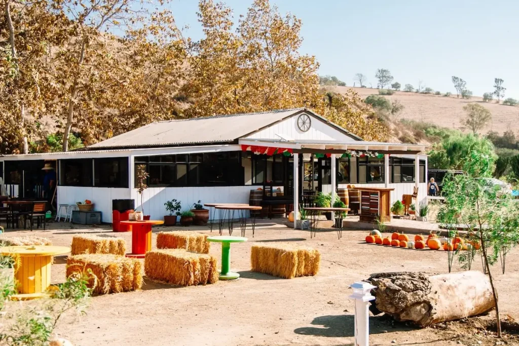“Mi Negocio en Línea” abre nuevas oportunidades digitales para negocios turísticos de la zona rural de Rosarito