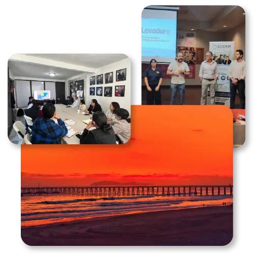 Proyectos CCDER Rosarito